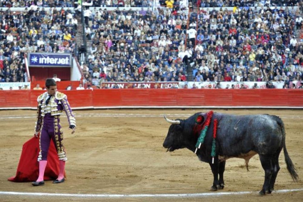 Suspenden proceso judicial que impedía celebrar corridas de toros en Guadalajara