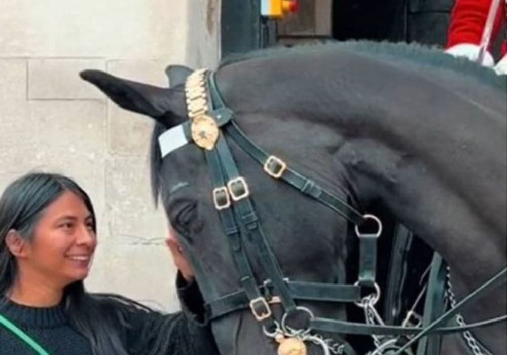 Video: Conexión instantánea entre una mujer y un caballo en Inglaterra se hace viral