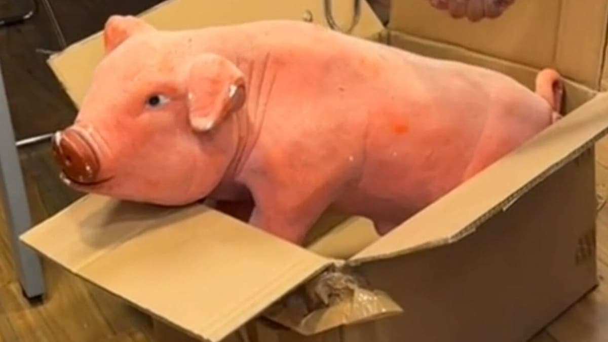 VIDEO: Hombre en Puebla compra auto de 58 mil pesos con los ahorros del cochinito