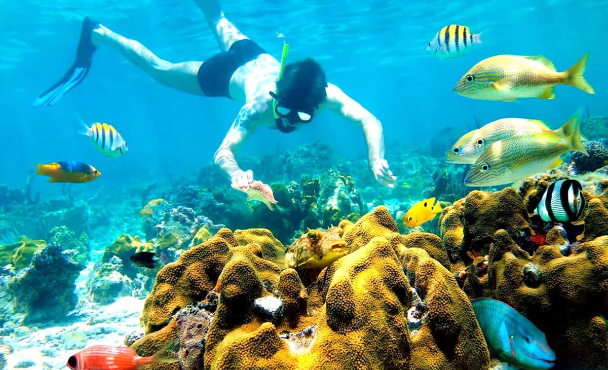 Anuncia Conanp cierre de cinco zonas de arrecifes de Cozumel por dos meses