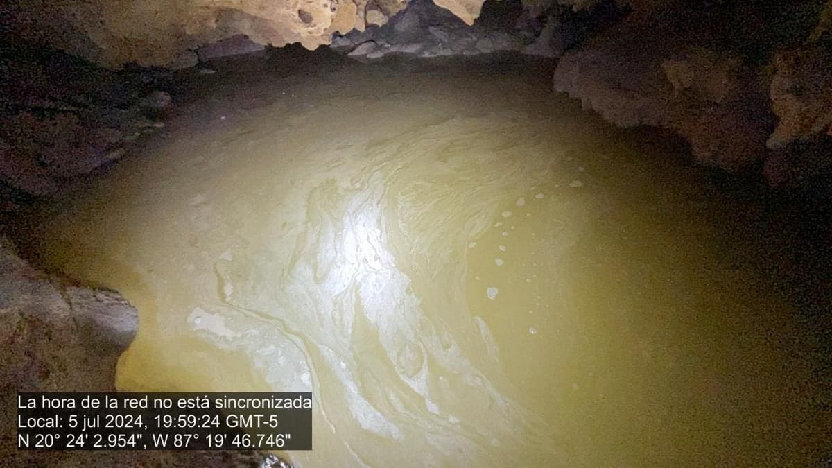Denuncian contaminación de cenote por obras del Tren Maya en Akumal; tiene derrame de cemento