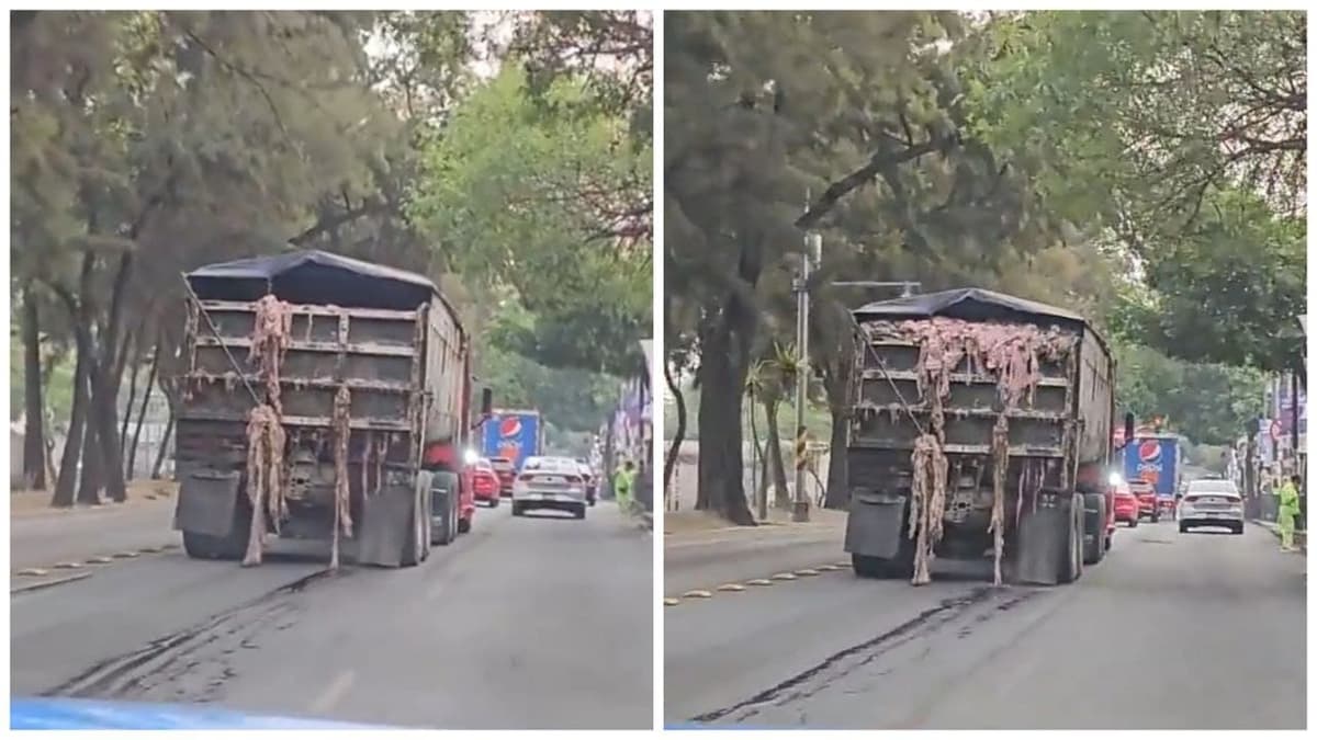 Video: Camión cargado de vísceras deja desagradable rastro por las calles de CDMX