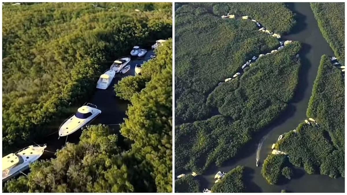 Video: Dueños de yates en Cancún resguardan sus embarcaciones en el manglar para evitar que el huracán Beryl los hunda