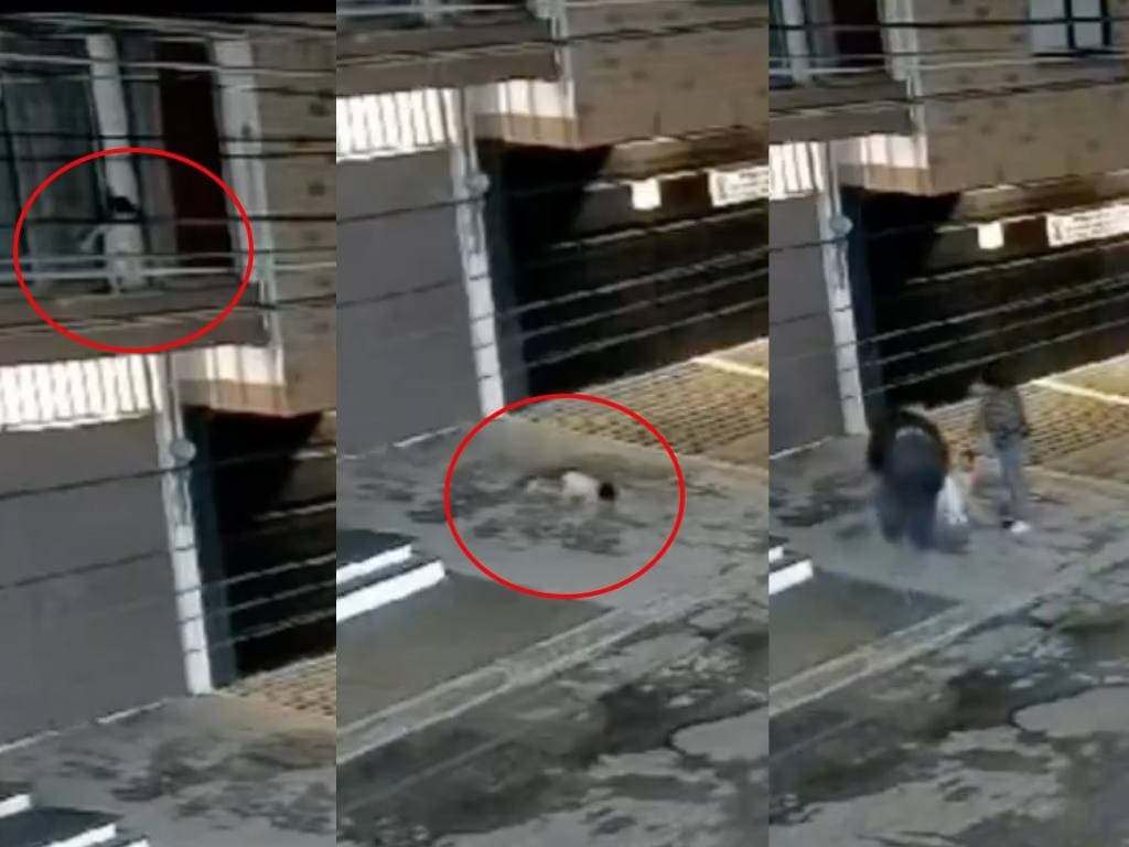 VIDEO: Bebé cae desde ventana de segundo piso en Puebla