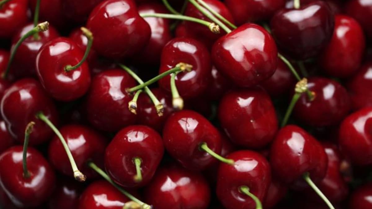 Agricultor advierte sobre los riesgos de consumir cerezas