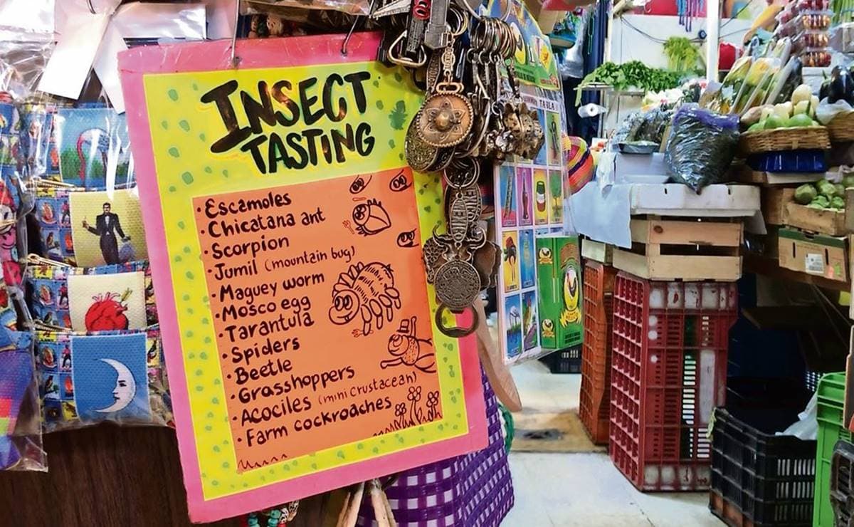 "Chicken con mole": Acusan de gentrificación a comerciantes en Coyoacán, CDMX por ofrecer productos en inglés