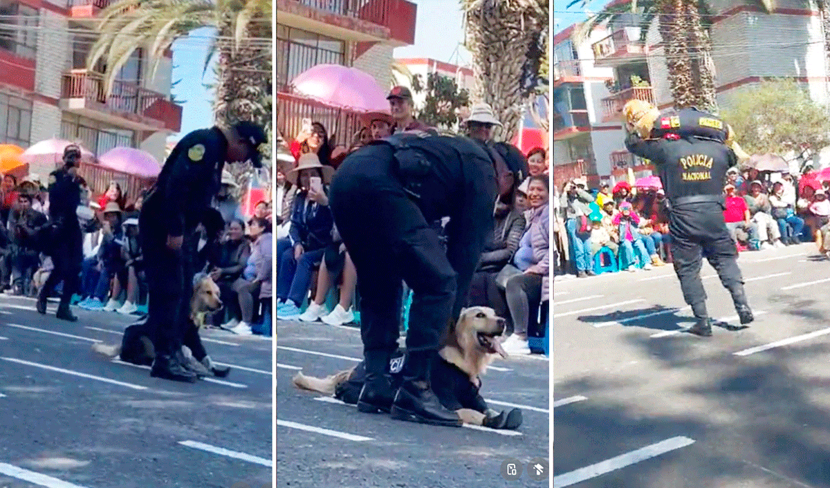 VIDEO: Perrito de la policía se hace viral por negarse a marchar durante desfile