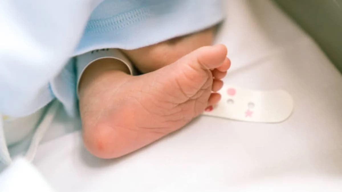 Arrestan a abogada en Texas por comprar bebés a reclusas