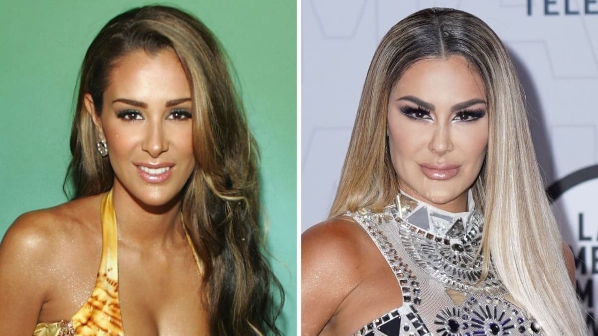 Internautas critican a Ninel Conde por lucir irreconocible