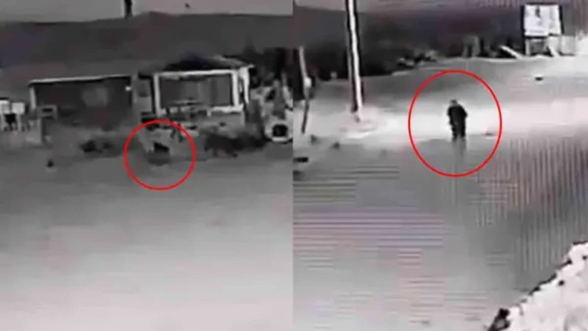 Video: Captan a supuesto nahual en plena transformación de perro a humano