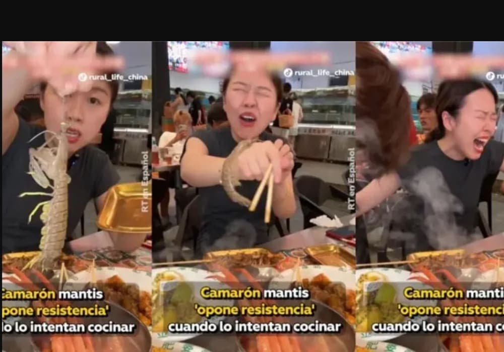 Video: Mujer es atacada por un camarón mantis que quería cocinar vivo en un restaurante de China