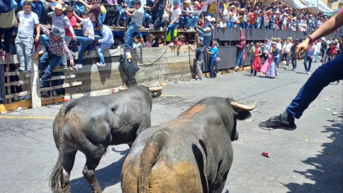 Huamantlada en Tlaxcala deja 21 heridos; uno debate entre la vida y la muerte