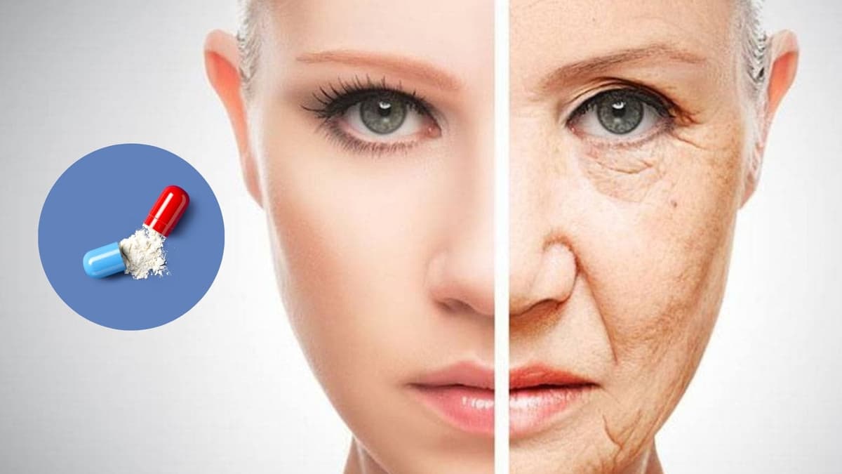 Crean pastilla que combate el envejecimiento; podría probarse en humanos en 2025