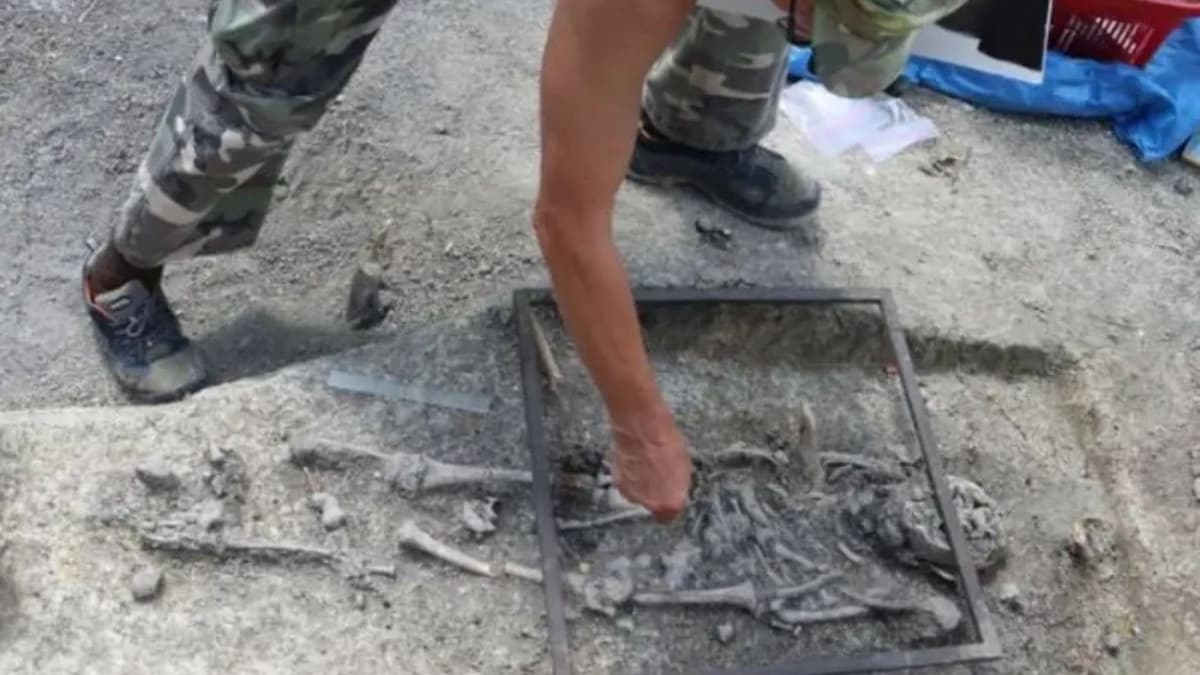 Arqueólogos hallan restos de "niños vampiro" en Polonia