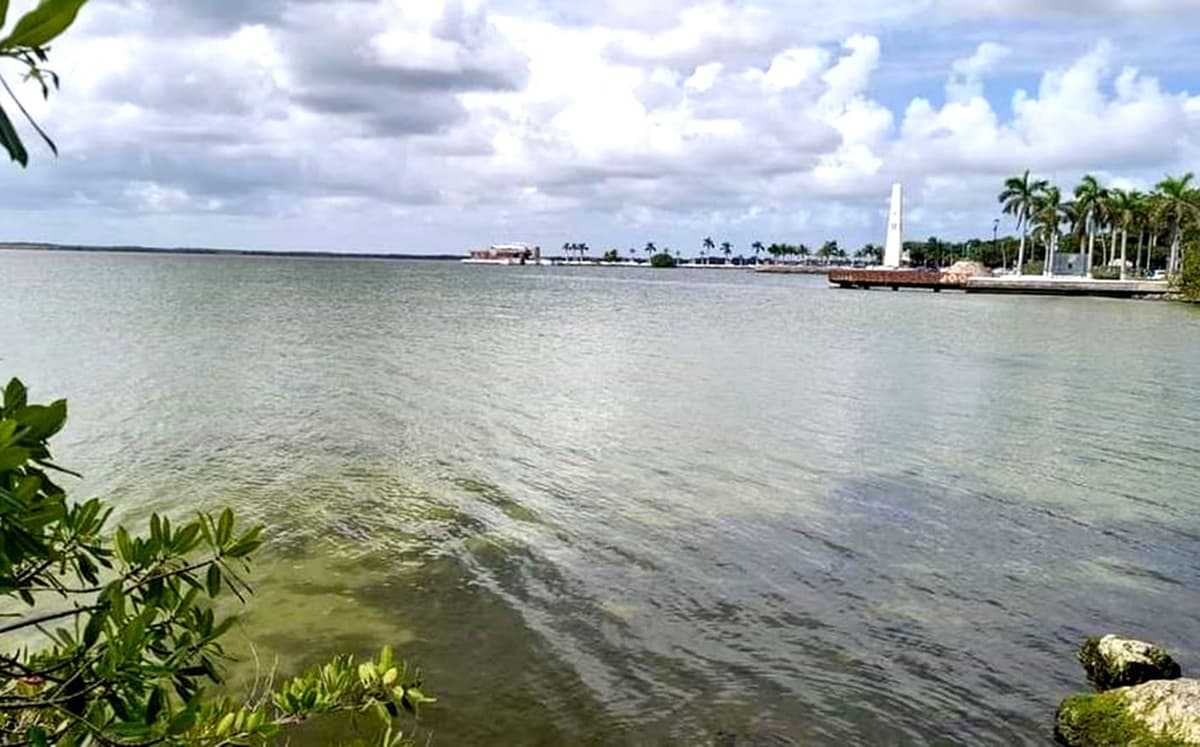 Dragarán bahía de Chetumal para mayor actividad náutica con navíos de más calado