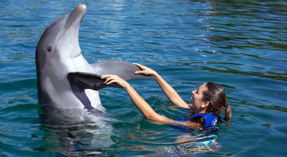 VIDEO: Influencer española denuncia cautiverio de delfines en parque Xcaret
