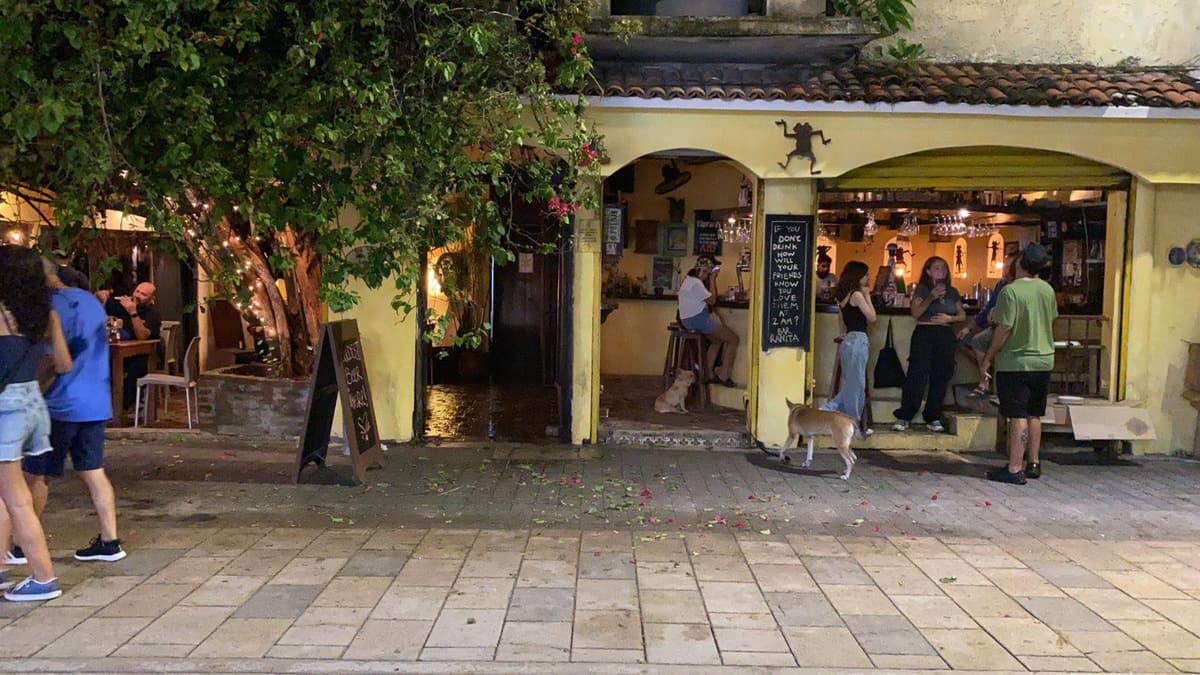 Tras muerte de dueños del icónico hotel y bar "La Rana Cansada" de Playa del Carmen, terceros pelean la propiedad