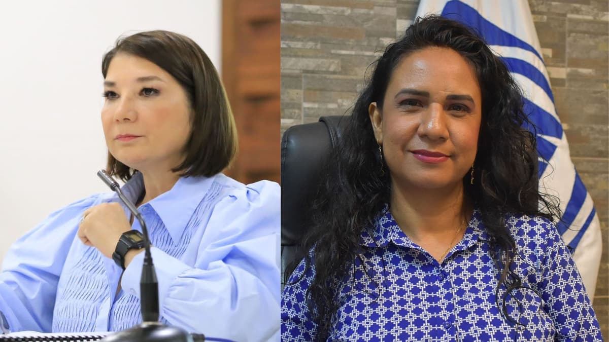 Kira Iris pierde la décima regiduría de Solidaridad; Teqroo designa a Danna Felisa Ramírez Saldaña