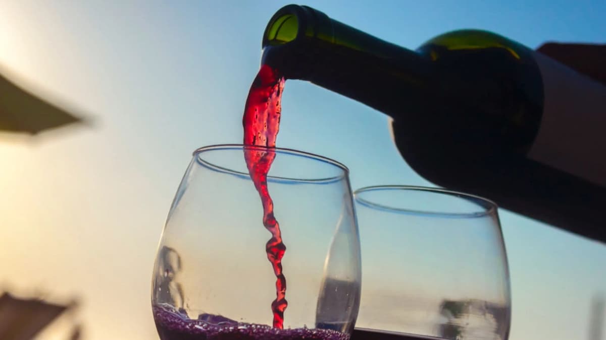 Inteligencia Artificial revela cuál es el mejor vino tinto mexicano