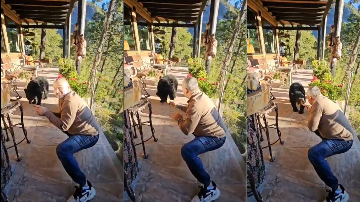 Video: Hombre alimenta a oso que entró a su cabaña en Nuevo León