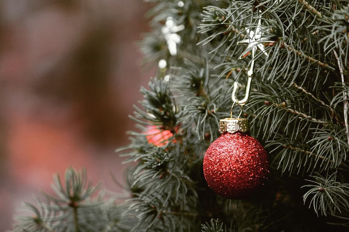 Decoración decembrina: ¿Es posible tener un árbol de Navidad sustentable en casa?