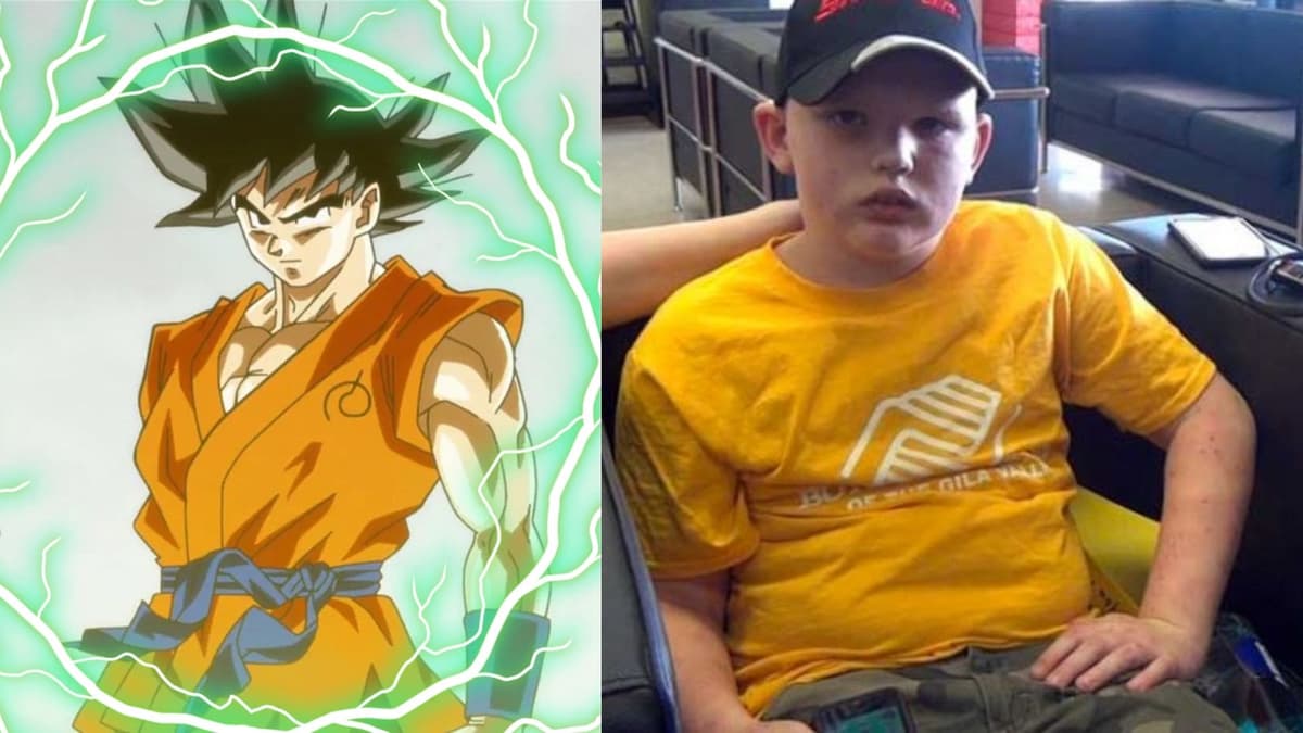 Niño libera su "ki", técnica utilizada en Dragon Ball y se salva del piquete de 400 abejas africanas