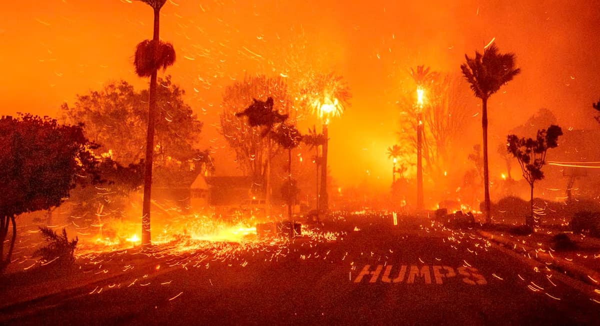Video muestra atrapados a hombres y su perrito en medio de los incendios de California