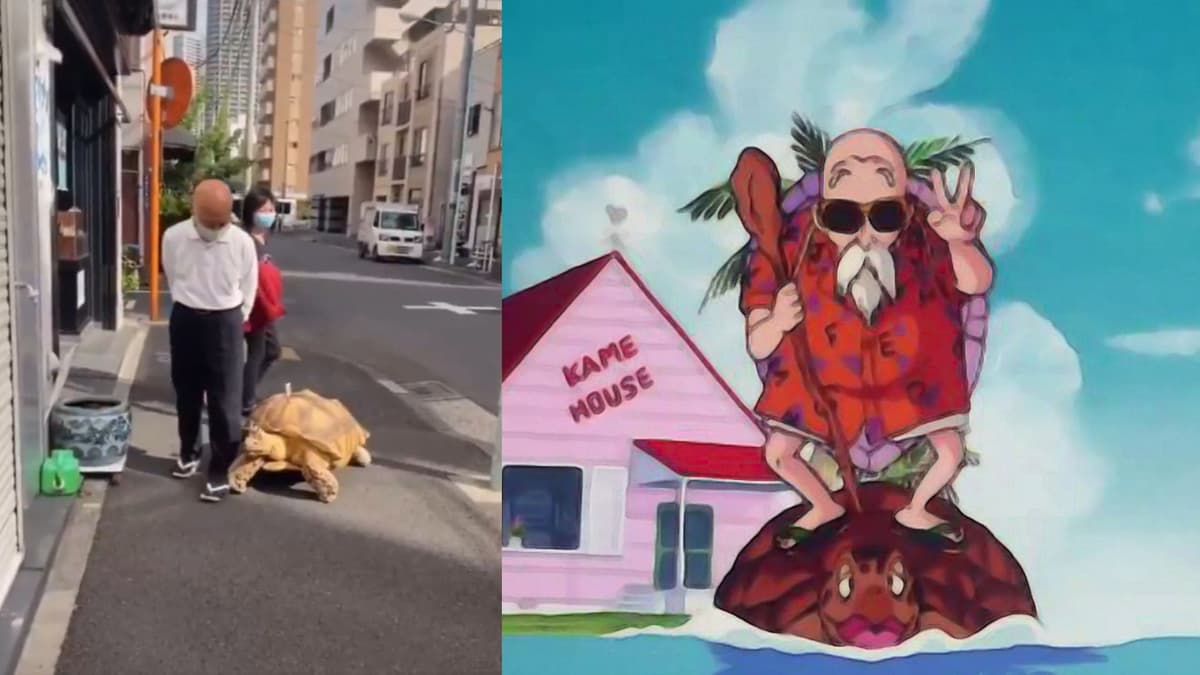 Video: Abuelito saca a pasear a su tortuga en Japón; internautas lo comparan con el maestro Roshi de Dragon Ball