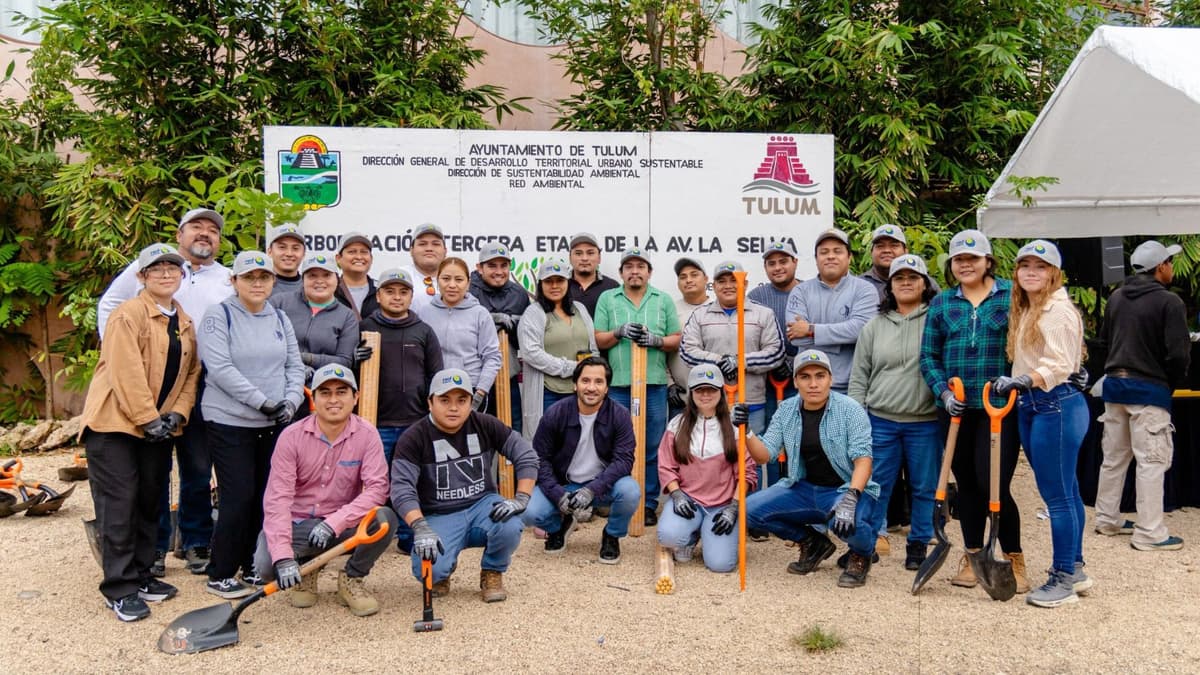 Gobierno de Tulum lleva a cabo la tercera etapa del programa Arborización en avenida La Selva