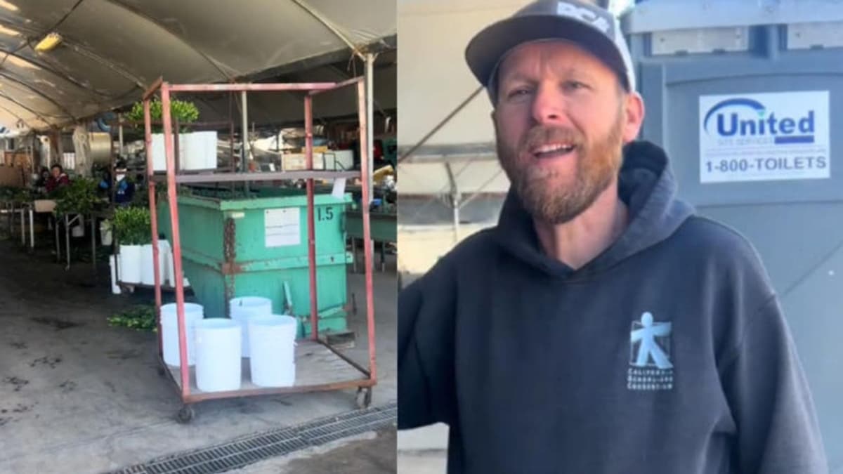 Video: Empresario estadounidense prefiere contratar migrantes porque sus compatriotas no trabajan