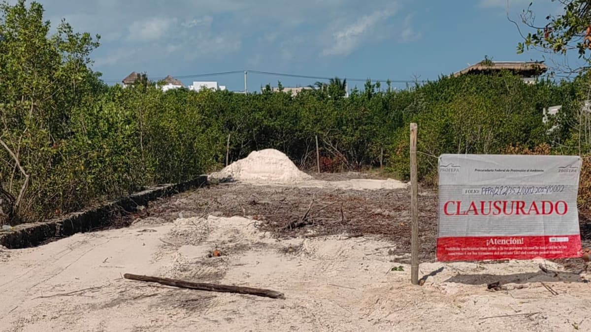 Clausura Profepa tala de mangle en Holbox