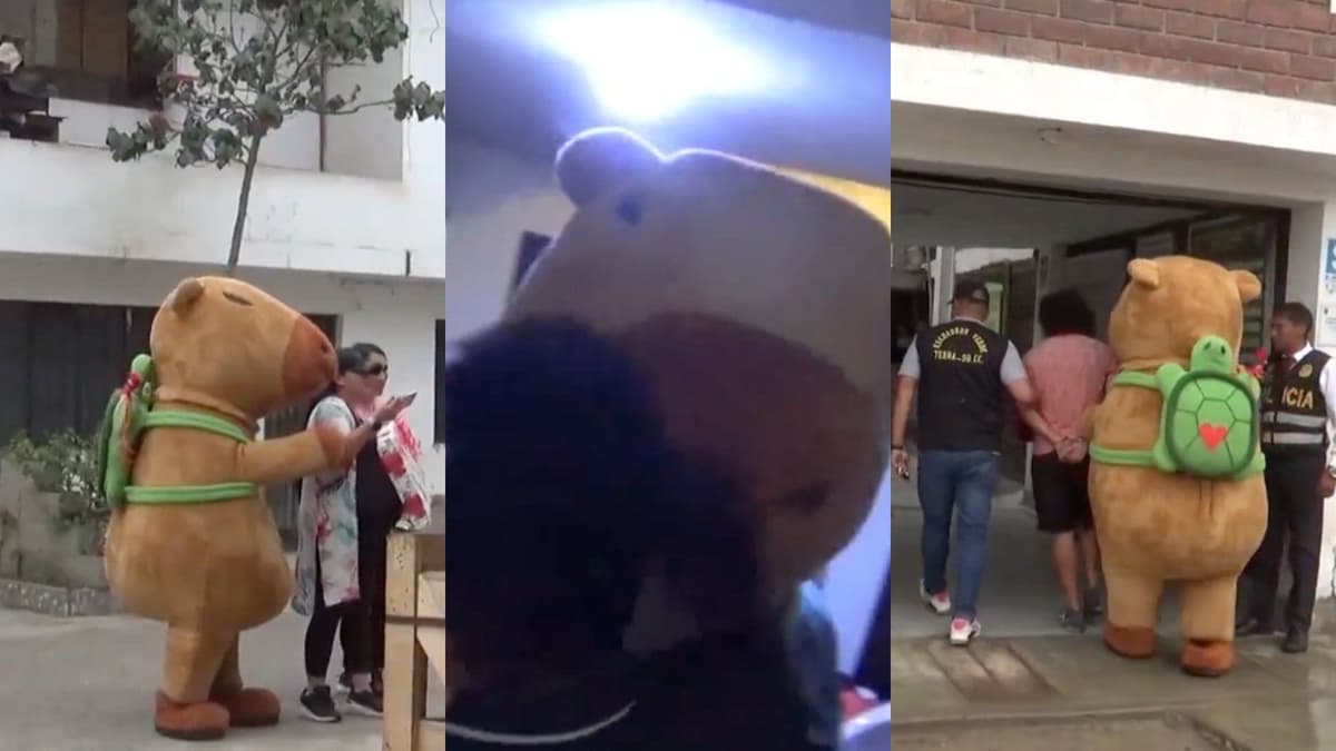 VIDEO: Policía en Perú se hace viral tras usar disfraz de capibara para detener a traficante de droga