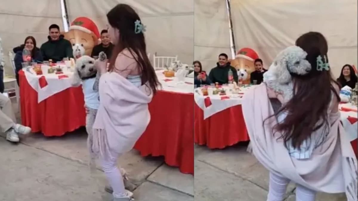 Video: Perrito se escapa de su casa y se cuela a la fiesta del vecino, en México