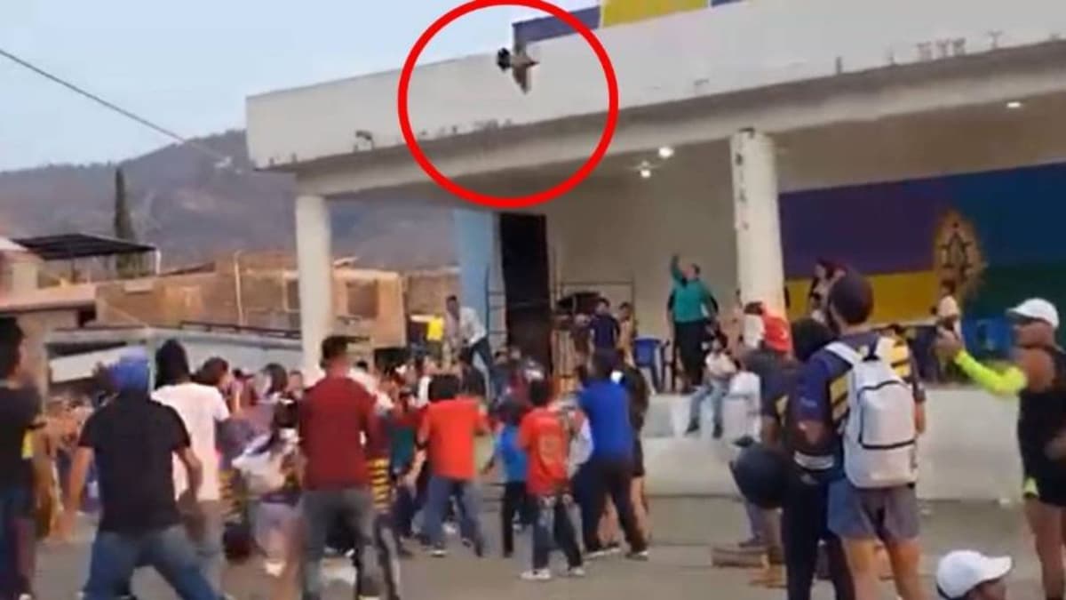 Video: Tradición purépecha en Michoacán causa indignación entre animalistas; implica destrozar una gallina