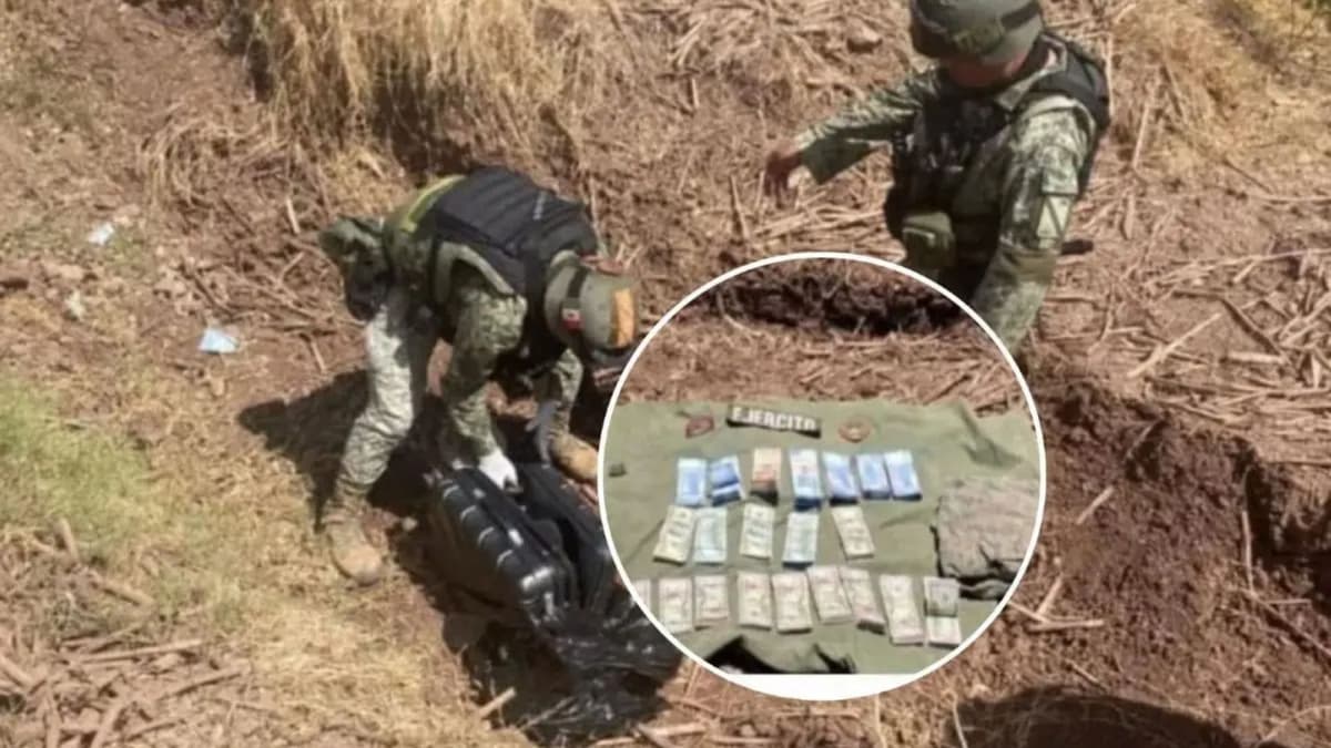 Militares encuentran maleta con 2.1 millones de pesos en una parcela agrícola en Sinaloa