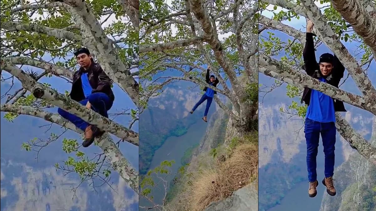 Video: Youtuber se cuelga de un árbol en la orilla de un acantilado en el Cañón del Sumidero en Chiapas