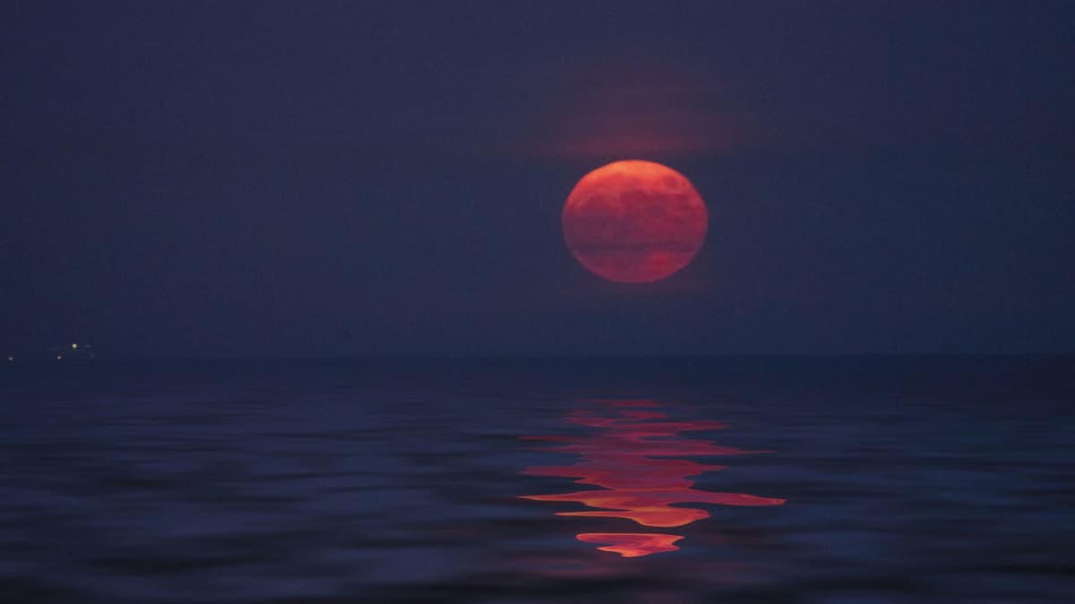 Luna de Fresa iluminará el cielo este junio en México, ¿qué es y cuándo verla?