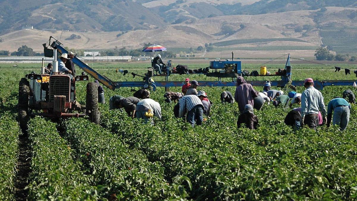 Donald Trump rectifica y dejará que migrantes puedan vivir en Estados Unidos; deben cumplir dos condiciones