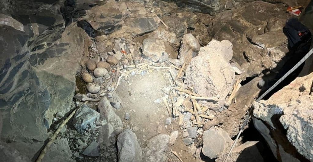 INAH encuentra restos óseos de hace 500 años en una cueva en Coahuila