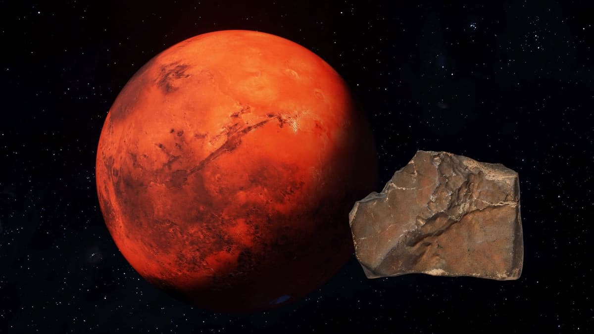 Meteorito de Marte es vendido a precio récord de 5.3 millones de dólares durante una subasta