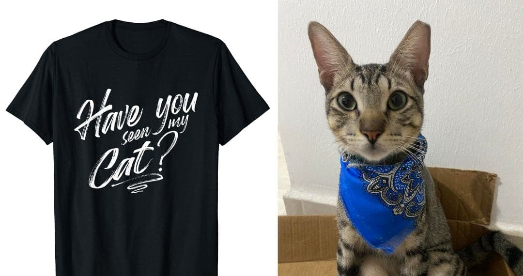 Imprimen por error el teléfono de una mujer en camisetas de “gato perdido” y recibe decenas de llamadas en Canadá
