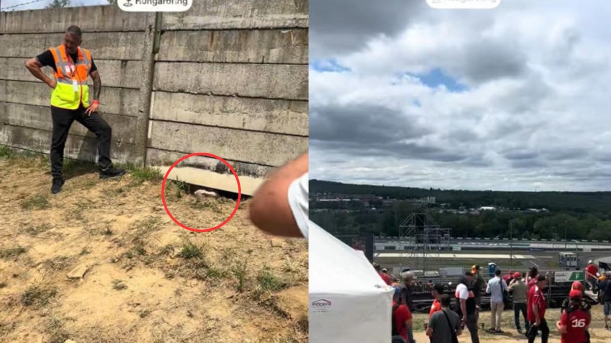 Video: Aficionados cavaron un hoyo en la tierra para intentar ingresar al Gran Premio de Hungría