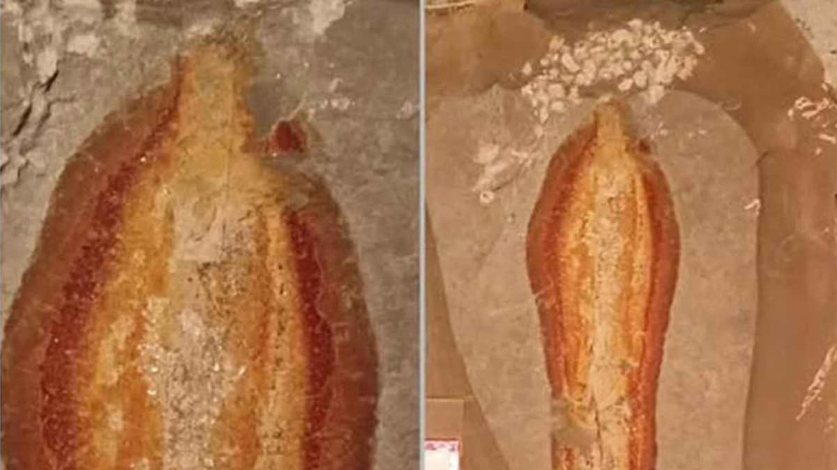 Hallan piedra con silueta de la Virgen de  Guadalupe y le ponen su altar en Chiapas