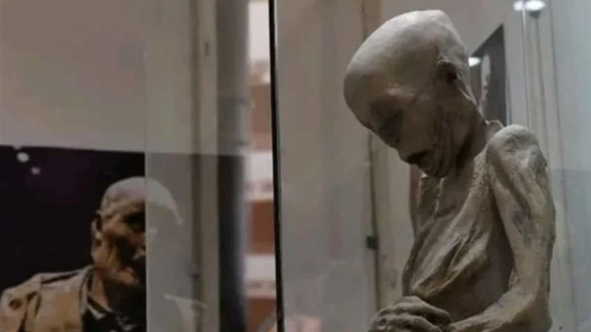 Momia de Guanajuato es trasladada sin autorización del INAH a Zacatecas