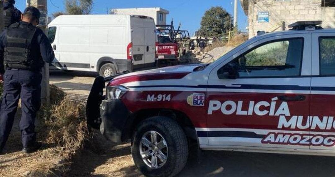 Localizan feto dentro de bolsa  en Puebla; perros callejeros arrastraban el saco