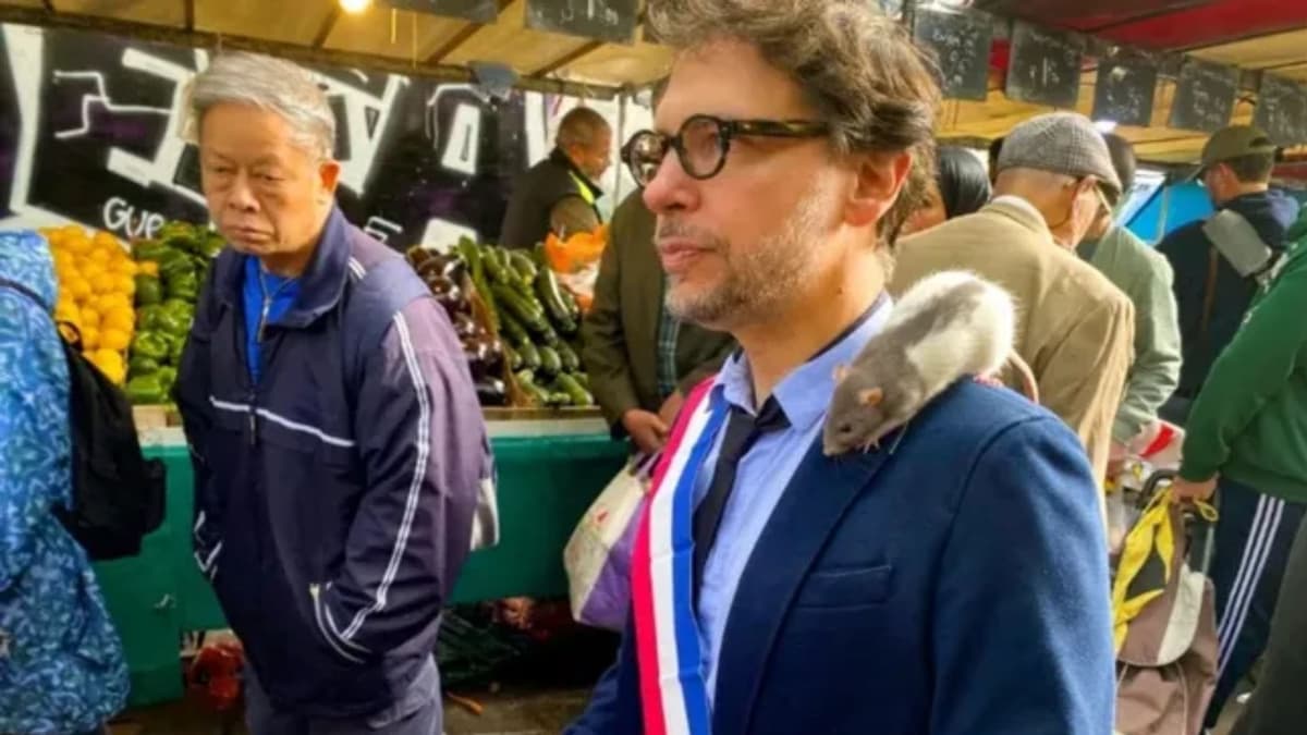 Político de París busca promover la convivencia con ratas y eliminar su mala imagen