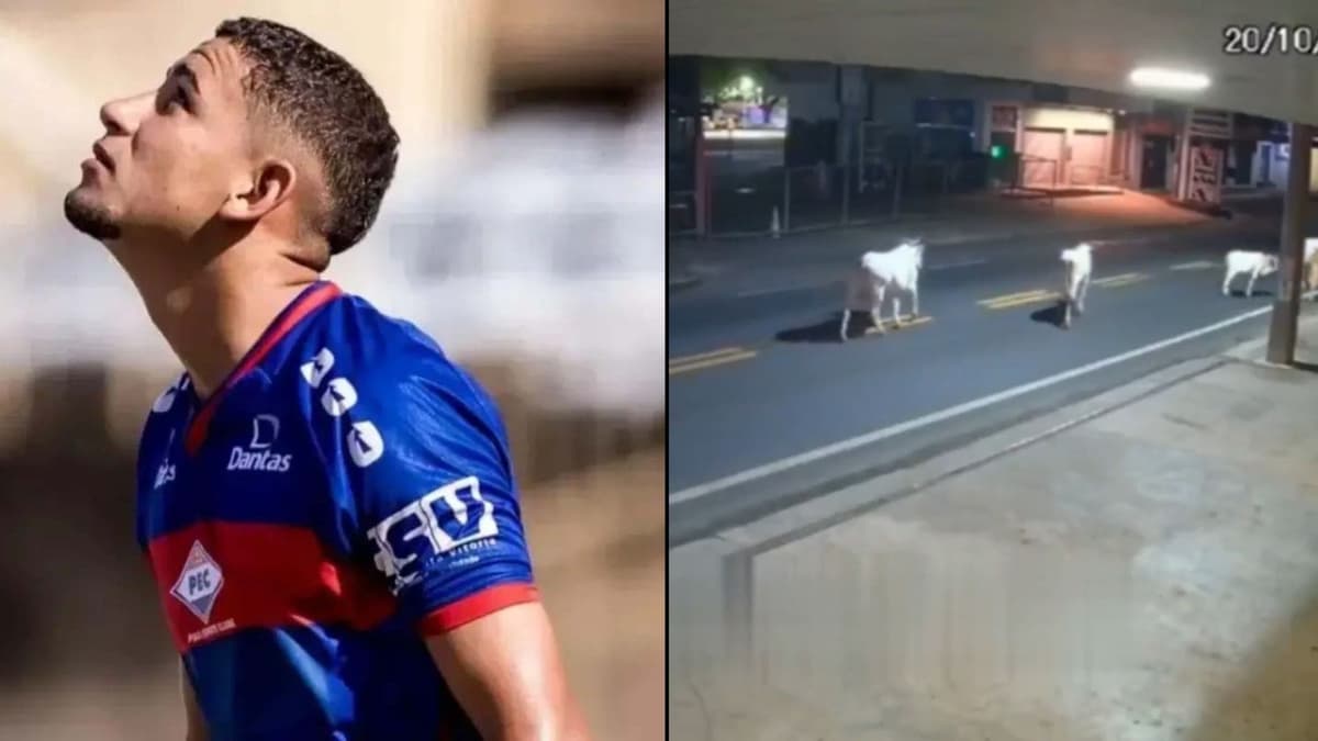 Video: Futbolista pierde la vida tras chocar con una vaca en Brasil