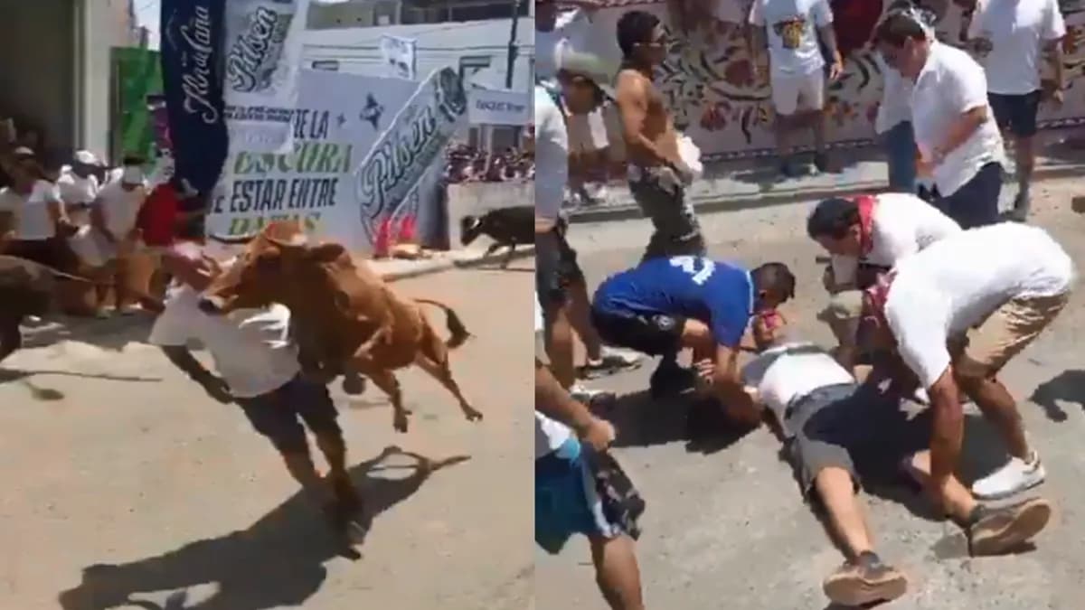 Video: Toro desfigura el rostro de un hombre durante corrida en Perú