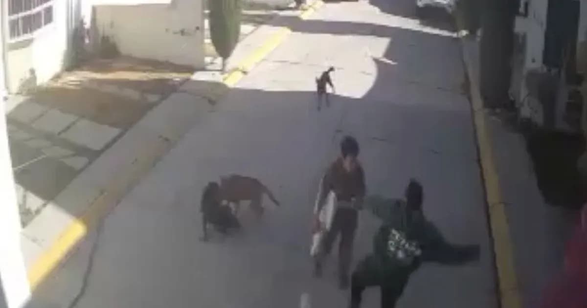 Video: Sujeto patea a joven con autismo en Pachuca, Hidalgo