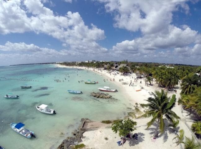 Akumal ya es oficialmente refugio de tortugas